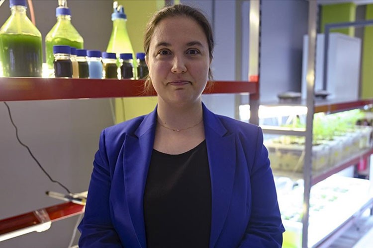 Kadın girişimci alg alanında ihracata hazırlanıyor