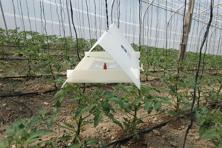 Bitki karantinası tazminat destekleri belli oldu