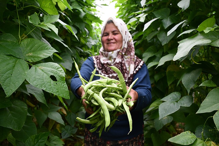 Bilecikli kadın çiftçi tek başına 14 çeşit ürün yetiştiriyor