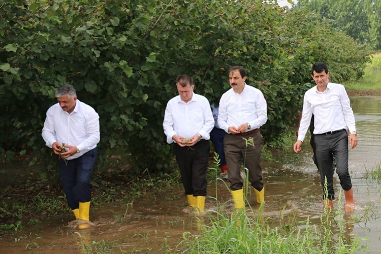 Tarım alanlarında inceleme