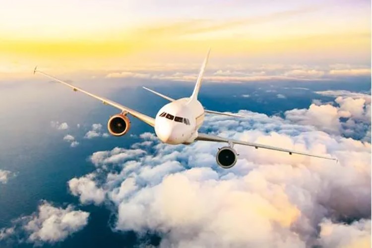 Yerli hava yollarının taşıdığı yolcu sayısı 8 kat arttı