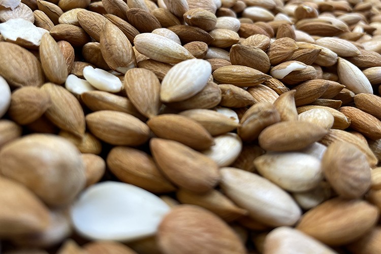 Kayısı çekirdeği ihracatından 9 ayda 11,5 milyon dolarlık gelir