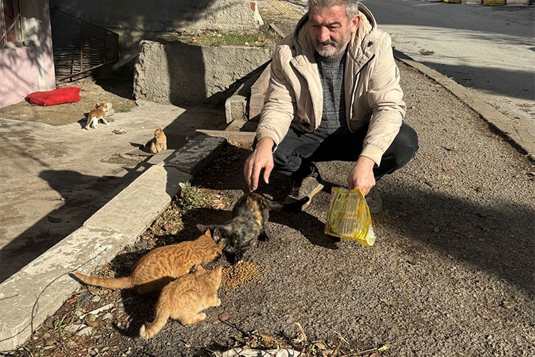 Yozgat'ta kedi ve yavrularına esnaf sahip çıktı