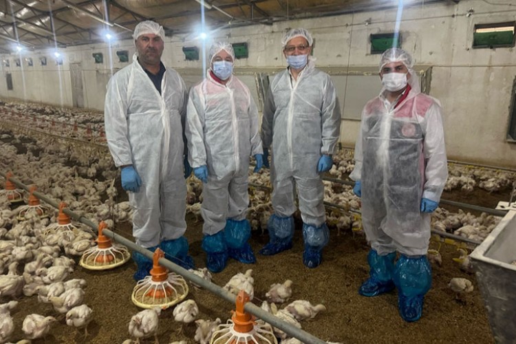 Tavuk eti ihraç edilerek ülke ekonomisine katkı sağlıyor