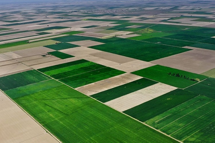 Konya Ovası'nda çiftçi mart ve nisan yağışlarından memnun