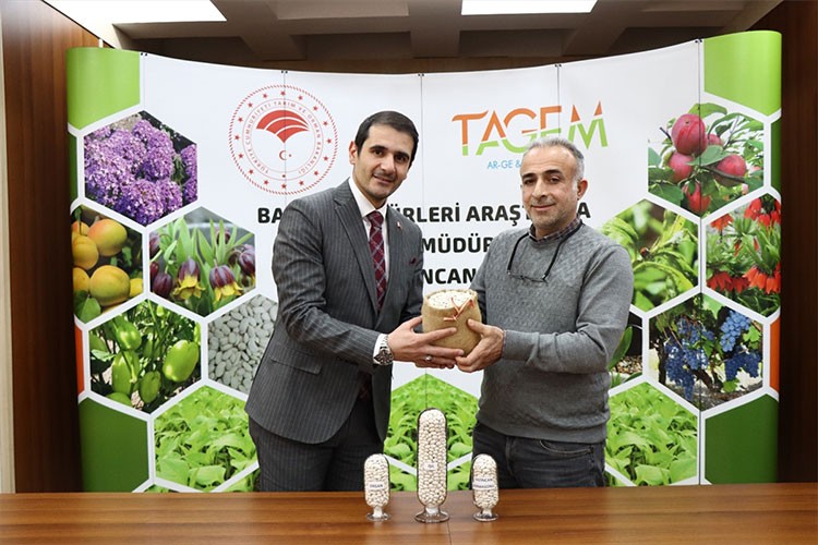 Erzincan'da kuru fasulye tescil başvurusu yapıldı