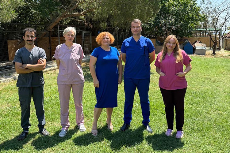 Felçli, yaşlı ve ağır hasta hayvanlar için Encander