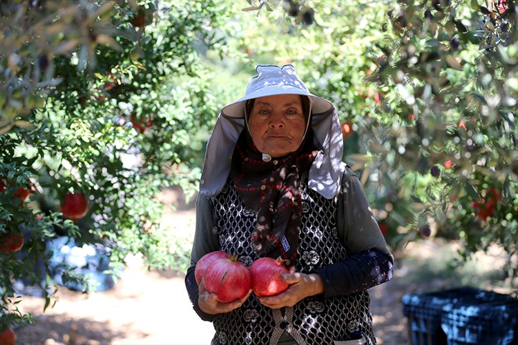 Antalya nar üretiminde ve ihracatında ilk sırada