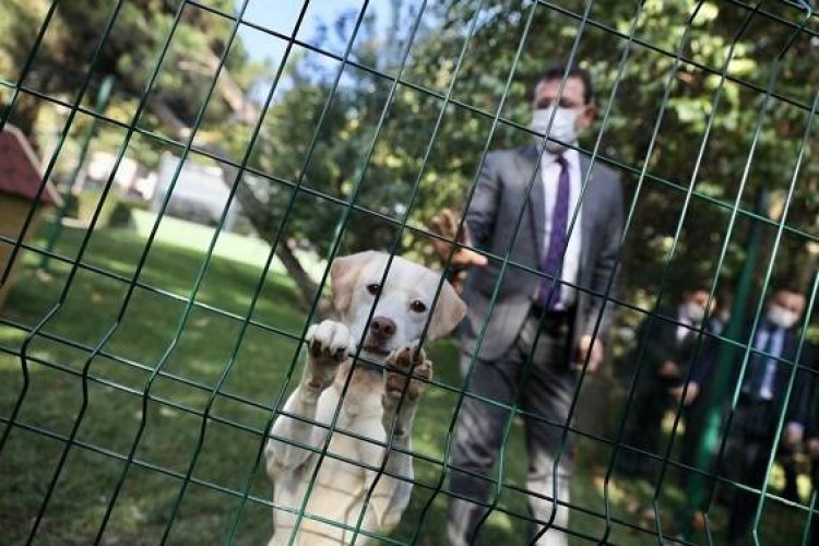 SemtPati Vakfı'ndan Kanun Değişikliğine Karşı Uyarı