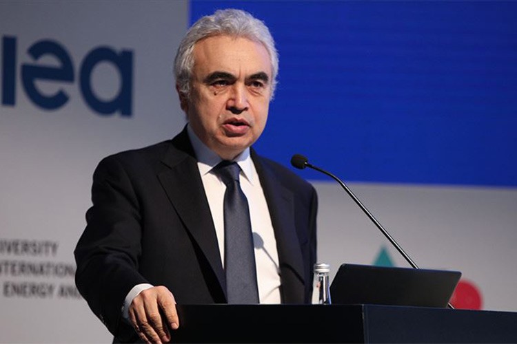 "Elektrik talebinin neredeyse yarısını karşılayabilir"