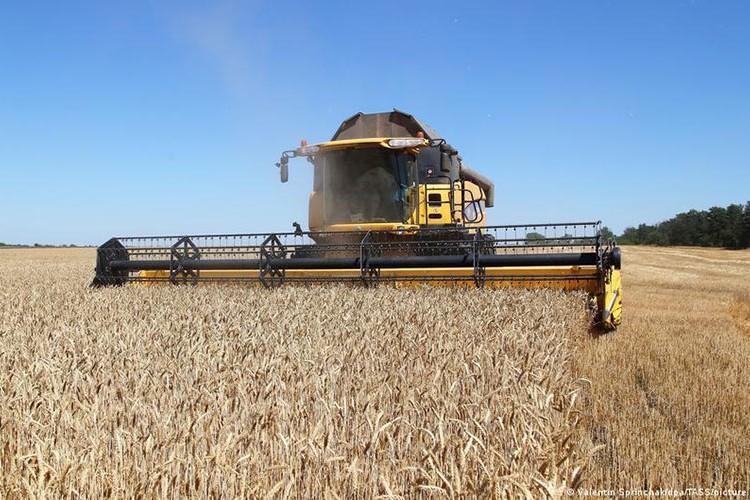 Savaş milyonları yoksulluğa sürükleyecek