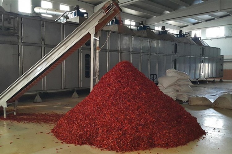 25 ülkeye pul biber ihracatı