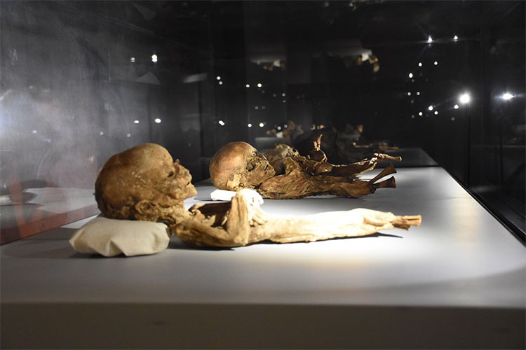 Aksaray Müzesi, geçen yıl 20 bini aşkın ziyaretçiyi ağırladı