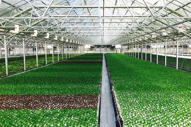 150 milyonluk teşvik