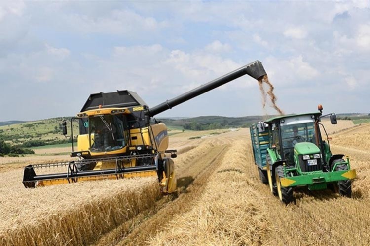 Tarımsal girdi fiyatları yüzde 7.92 arttı