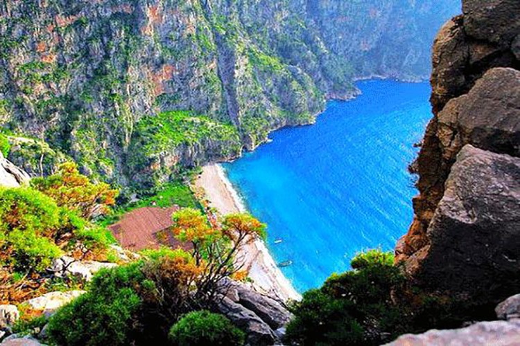 Tabiat parkı kiralanıyor