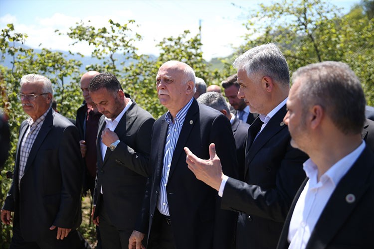 Bayraktar fındık bahçelerinde incelemelerde bulundu