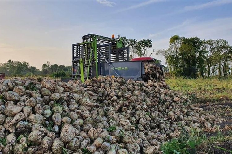Pancar çiftçisine 709 milyon lira çapa avans ödemesi yapıldı