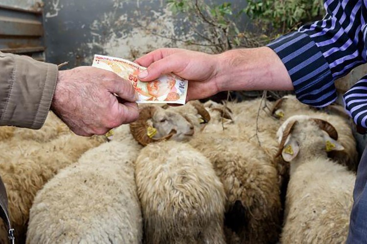 Kurban Bayramı için farklı seçenek