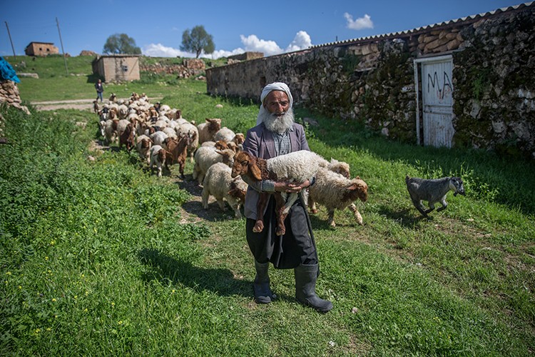 Çoban bulamıyorlar