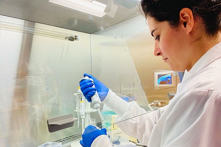 İnsan hücrelerinden küçük canlı robotlar üretti