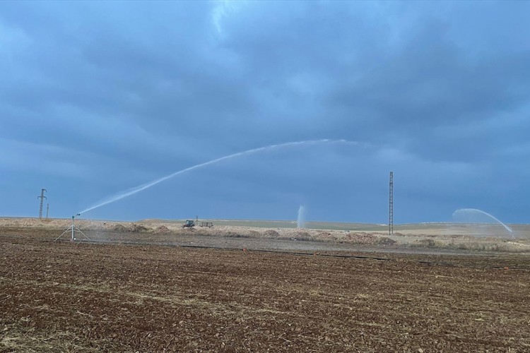Konya Ovası'nda "iklim dostu" tarım modeli hayata geçiriliyor