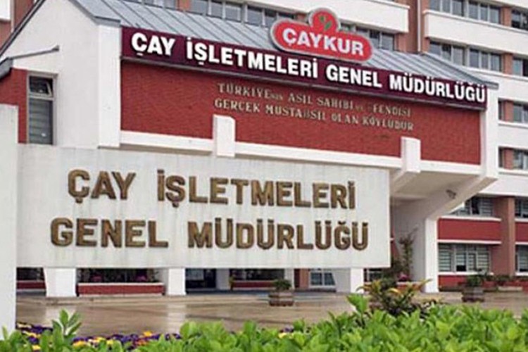 ÇAYKUR, 2023 yılı yaş çay sezonunu açtı