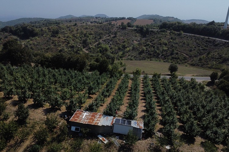 Meyve bahçesine güneş panelleri kurdu