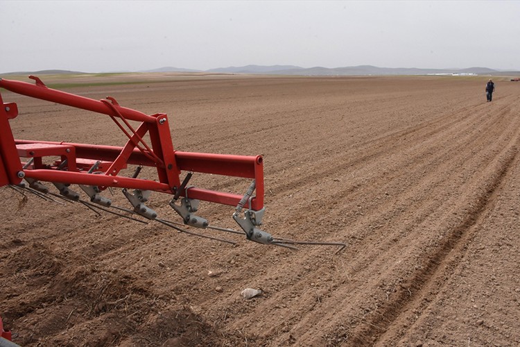 Bozkır toprakları nohut tohumlarıyla buluştu
