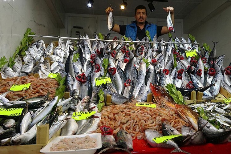 Palamut azaldı fiyatı arttı