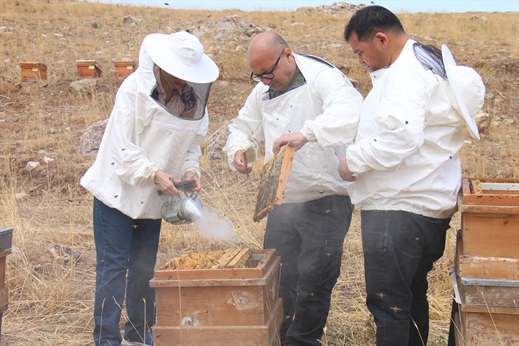 Mersin'de 2 bin 400 rakımdaki yaylada bal hasadı yapıldı