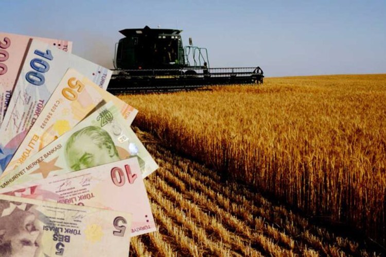 Tarımsal girdi fiyatları aylık yüzde 0,63 arttı