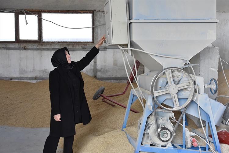 900 büyükbaşla çiftlik sahibi oldu