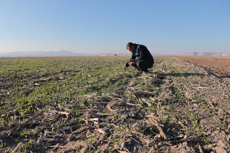 Konya Ovası'nda çiftçinin hububat ekim mesaisi başladı