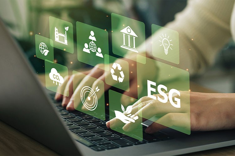 Sürdürülebilirlik raporlarının denetimine ilişkin esaslar belirlendi