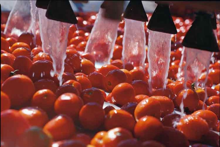 Merko Gıda'dan 100 Milyon TL'lik yatırım