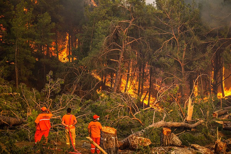 47 ilde 209 orman yangını kontrol altına alındı