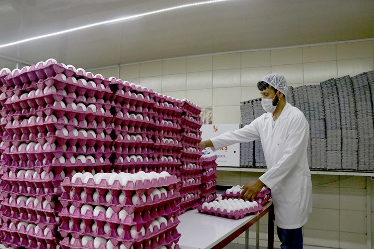 İhracat durdu, fiyatı düştü