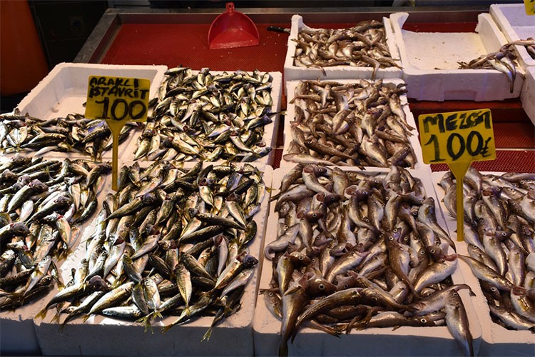 Trabzon'da mezgit ve istavritin kilogramı 100 liradan satılıyor