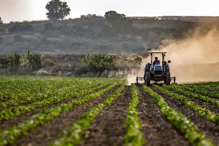 "Ekim alanlarında bir miktar artış olacağını öngörüyoruz"