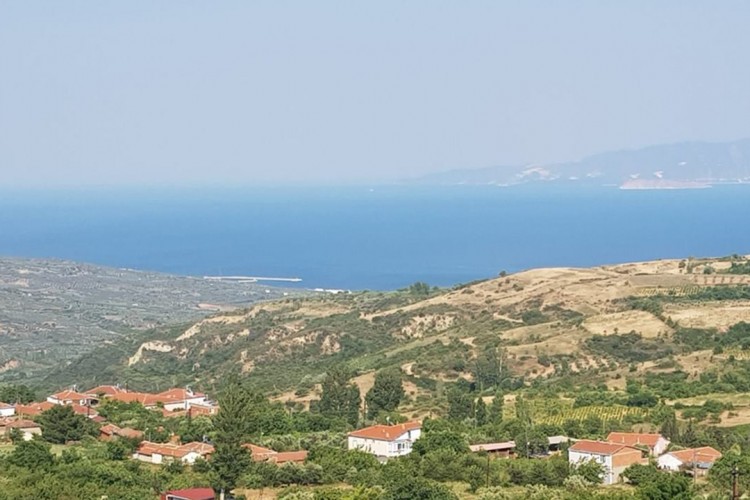 Emlak verilerinde arsa yatırımları öne çıktı