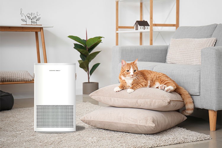 General Mobile'dan Hava Kalitenizi Artıran Teknoloji