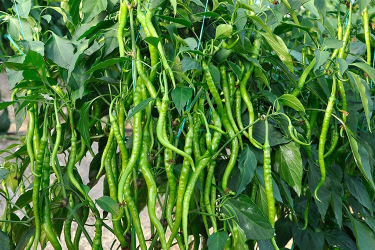 En çok sigara zamlandı