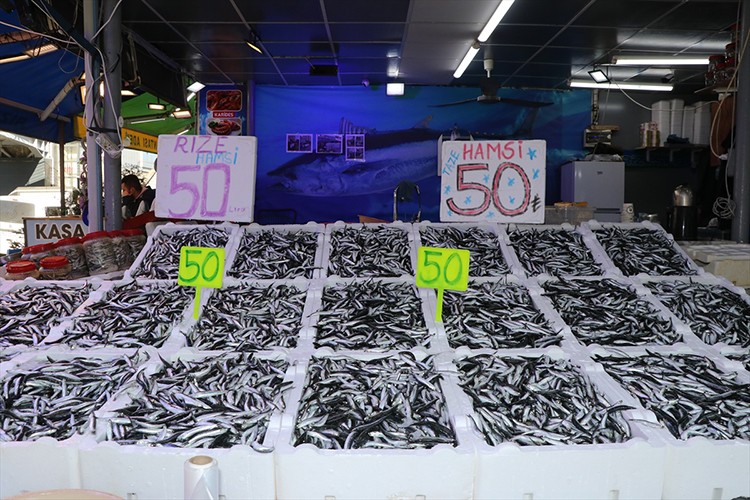 Rize'de hamsinin kilogramı 50 liradan satılıyor