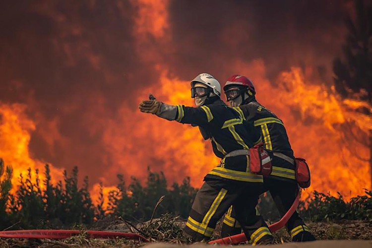 Yılın ilk 9 ayında 2 bin 197 orman yangınına müdahale edildi
