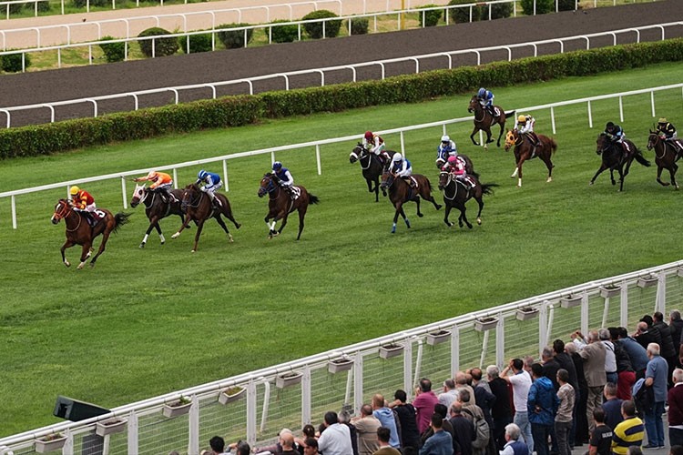 Son Düzlük'ten Yapay Zeka Destekli Yenilik