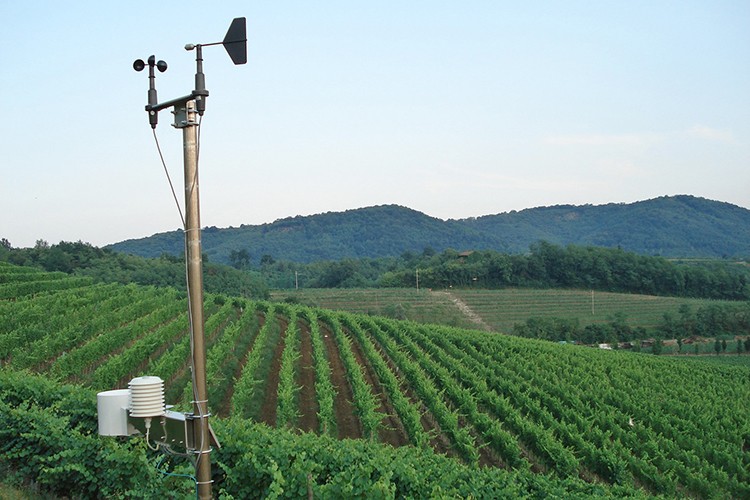 Tarlaya uzaktan takip