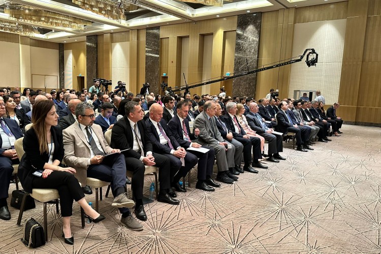 Katastrofik Risklere Karşı Dayanıklı Finansal Sistem Konferansı