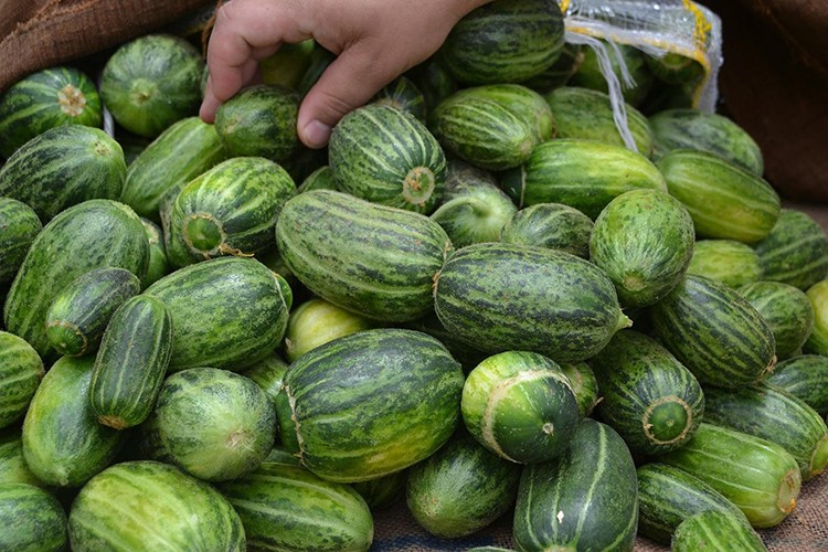 Şelengo'ya patent isteği