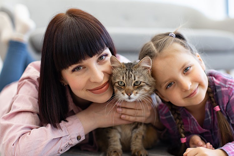 Kedilerin hayatımıza katkıları sadece sevgiyle sınırlı değil